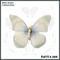 Butterfly Hair Clip