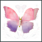 Butterfly Hair Clip